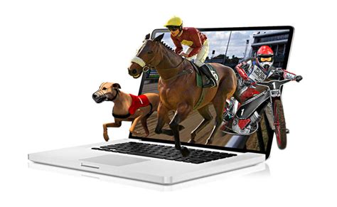virtual bet